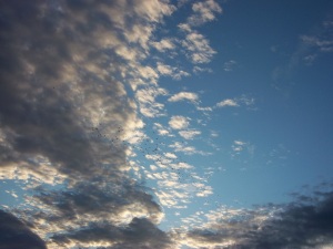 The wonderful sky!!
